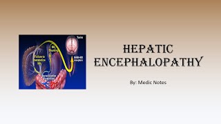 Hepatic encephalopathy  causes pathophysiology sign value [upl. by Jacquenette217]