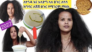 ለተጎዳ እና አላድግ ላለ ፀጉር ትክክለኛ የአብሽ ማስክ አሰራር በሳምንት አንዴ ተጠቀሙት For damaged and stunted hair use the [upl. by Wolfram]