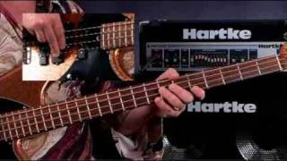 How To Play Bass Guitar  Lessons for Beginners  Chromatic Scales amp Accidentals [upl. by Kcolttam]