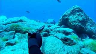 spearfishing Gomera Canary islands [upl. by Diane]