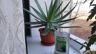 Лучшие удобрения для комнатных цветов The best fertilizers for indoor flowers [upl. by Ahscrop715]