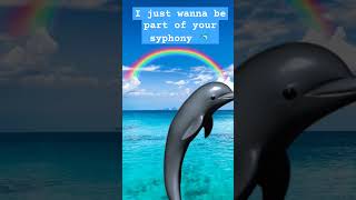 i Just wanna be part of yout SYPHONY🐬🐬 [upl. by Luckin]