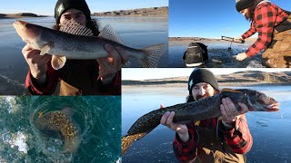 Ice Fishing Diefenbaker BAREBONES Electronics VERY Possible [upl. by Matt399]