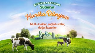 Çiftlikten Sofralara Sütaş’ın Harika Dünyası [upl. by Toiboid918]