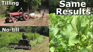 NoTill vs Tilling Brassica Food Plots  Same Results [upl. by Tamberg]