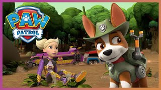 Tracker and Pups stop Cheetah from destroying the Jungle  PAW Patrol Cartoons for Kids Compilation [upl. by Wendye822]