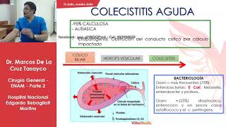 CIRUGIA GENERAL FASE 1 PARTE 2 [upl. by Brena]