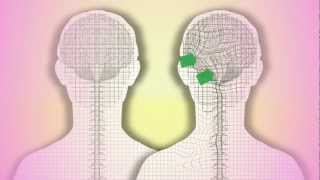 CranioSacral Therapy What is it How does it work by Tad Wanveer [upl. by Enelegna]