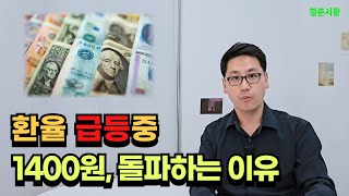 트럼프가 재선되면 환율이 급등하는 이유 달러 매수 [upl. by Adiana]