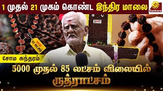 சாதாரண மனிதன் ரிஷியாகி முனியாகி தெய்வமாகவும் மாறமுடியும்  Rudhratcham Benefits  Sri Sankara Tv [upl. by Ahselrak]