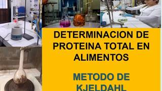 DETERMINACION DE PROTEINA TOTAL METODO DE KJELDAHL [upl. by Ycam]