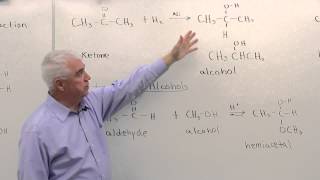 Reactions of Aldehydes amp Ketones [upl. by Donny]