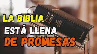 💥 quotLa importancia de Estudiar la Palabra de Dios  Un Mensaje para Tu Vida  El Hermano Jimmy [upl. by Legnaros]