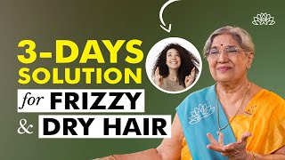 Dry hair treatment amp solution  Frizzy hair solution  Dry hair home remedies  Dry hair causes [upl. by Paloma]