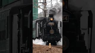 【JR九州・SL人吉】8620形ラストスパート 千歳川橋梁通過！2月23日 JR Kyushu steam locomotive class 8620 pulling quotSL Hitoyoshiquot [upl. by Cornelie]