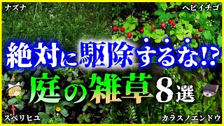 【ゆっくり解説】絶対に駆除してはいけない⁉実は有益な「雑草」8選を解説そもそも雑草とは何者なのか？繁殖力は？雑草という植物は存在しない [upl. by Akoek]