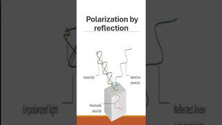 Polarization and Brewster’s angle shorts science physics [upl. by Raney101]