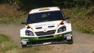 Rallye Deutschland Tests Wiegand Evans Andersson Chardonnet Kremer Riedemann P3 Test [upl. by Odlavu]