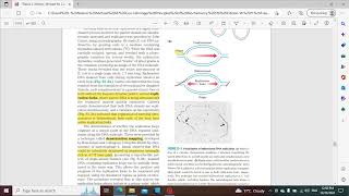 DNA Replication Biochemistry from Lehninger book Bsc Msc JEE NEET entrance exams [upl. by Durwyn]