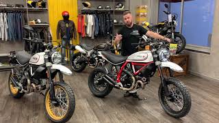 2019 Ducati Scrambler Desert Sled [upl. by Patrick]