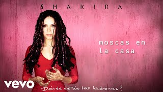 Shakira  Moscas en la Casa Official Audio [upl. by Hatch744]