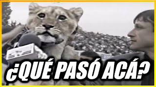 🦁❓ Cuándo dónde y POR QUÉ JORACA APARECIÓ ESTE LEÓN EN UNA CANCHA DE FÚTBOL [upl. by Adiol191]