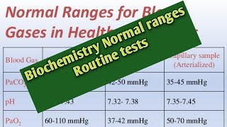 IP address amp Subnetting Bangla Tutorial  2 IP ranges of different classes [upl. by Yenahc]