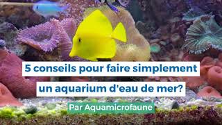 5 conseils pour faire simplement un aquarium deau de mer [upl. by Aneral]