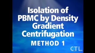Ficoll Separation Method 1 [upl. by Fortier]