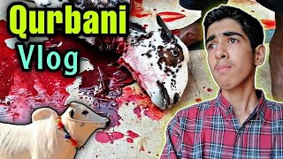 BAKRA EID VLOG 2023 🔥 QURBANI VLOG GOT EMOTIONAL 😭 Ibrahim Asim  Bakray qurban krdiye Alhumdulillah [upl. by Lepine722]