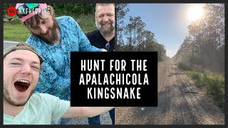 Hunt for the Apalachicola Kingsnake [upl. by Heise]