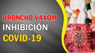 Broncho Vaxom el medicamento que posiblemente inhiba el Covid19 [upl. by Ikiv994]