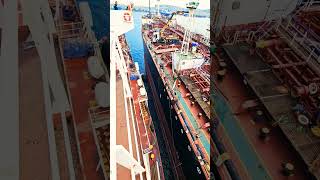 This is how close two ships can get during shifting ship maritime shipping marine vessel sea [upl. by Plerre801]