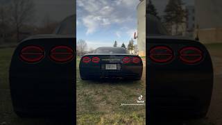 C5 Corvette Cam Chop [upl. by Amliw]