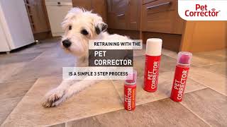 Pet Corrector – Improving Dog Manners [upl. by Meier]