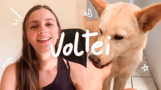 Vlog 10  Voltei para o canal Minha rotina e novidades [upl. by Ariana]