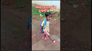 ଆହେ ଦୟାମୟ ବିଶ୍ଵ ବିହାରୀ odiabhajanshorts meme [upl. by Ruder]