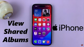 How To See Shared Albums On iPhone [upl. by Janenna]