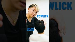 Best way to deal with cowlicks cowlick spiral [upl. by Yslek]