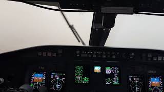 CRJ 200 COCKPIT view LDG [upl. by Wrench]