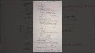 Biosynthesis of Pyrimidine biochemistry bpharmacy pyrimidine shortsyt trendingshorts viral [upl. by Asert516]