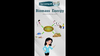 Biomass Energy  Examples of Renewable Sources of Energy  Science shorts [upl. by Lovett]