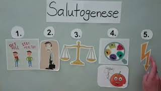 Das SALUTOGENESE MODELL Legefilm [upl. by Fortier]