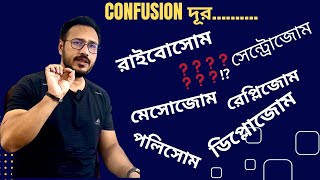 রাইবোসোমসেন্ট্রোসোমমেসোসোমরেপ্লিসোমপলিসোম ও ডিপলোসোম কী HSC Botany [upl. by Eiramllij]