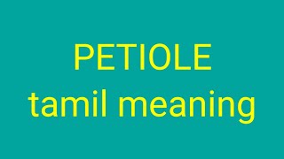 PETIOLE tamil meaningsasikumar [upl. by Kcirddor]