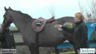 The Mares Oestrus Cycle Part 3  HorseandRider UK [upl. by Retsbew]