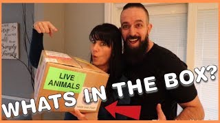 BABY MONITOR UNBOXING amp MAIL [upl. by Brynna440]