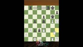 Vladimir Fedoseev vs Salem AR Saleh chess brilliant chessedit [upl. by Ahsiemal189]