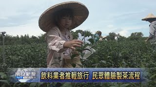 飲料業者推輕旅行 親子快樂體驗製茶趣南投新聞 [upl. by Lyrret839]