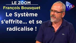 La revue Eléments  50 ans de combat culturel  Le Zoom  François Bousquet  TVL [upl. by Yleik]